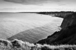_MG_8101